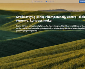 Svetainių kūrimas - kokybiškai ir greitai / UAB Procerus / Darbų pavyzdys ID 2864785