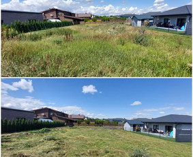 Žolės Pjovimas / Aplinkos Priežiūra / Mantas Ruginis / Darbų pavyzdys ID 2865007