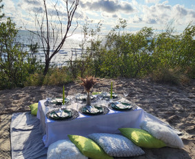 Piknikai, šampano staliukas, švenčių dekoras / Rosita / Darbų pavyzdys ID 2865029