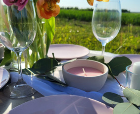 Piknikai, šampano staliukas, švenčių dekoras / Rosita / Darbų pavyzdys ID 2865173