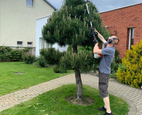 Genėjimas, apželdinimas ir kiti aplinkotvarkos darbai / Dainius Kubilius / Darbų pavyzdys ID 2865245