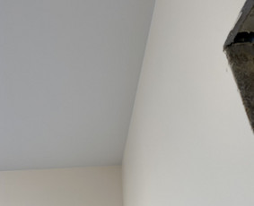 Vidaus apdailos darbai - Lubų dažymas - 2 Lubų dažymas - Vidaus apdailos darbai - 2