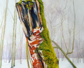 Lūžis. Iš botanikos sodo serijos. 80 x 50 cm. al. dr.