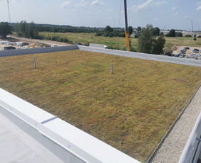 Vejos įrengimas, apželdinimas, laistymo sistemos / MB Sėja Veją / Darbų pavyzdys ID 2867559