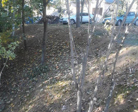 Šlaitų.pakrančių tvirtinimas-atraminės sinelės / GeoMax / Darbų pavyzdys ID 528133