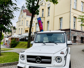 Prabangių automobilių nuoma vestuvėms Kaune, Vilniuje / Automobilių nuoma su vairuotoju / Darbų pavyzdys ID 2869827