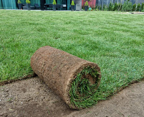 Ruloninė veja Easygreen - Vejos priežiūra, įrengimas - 2 Vejos priežiūra, įrengimas - Ruloninė veja Easygreen - 2