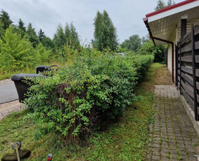 Aplinkos priežiūros darbai, žolės pjovimas / Ingridas Kazlauskas / Darbų pavyzdys ID 2873797