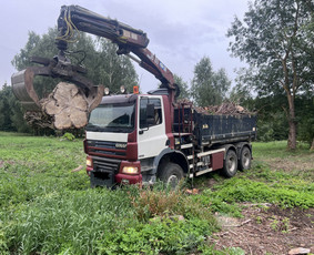 Pavojingu medžiu pjovimas, sklypų valymas, šakų išvežimas / Vytautas Tveraga / Darbų pavyzdys ID 2873925