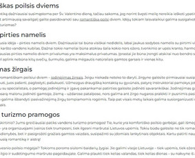 Prane&scaron;imų spaudai rengimas - Įvairių tekstų kūrimas - 2