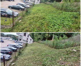 Žolės Pjovimas / Aplinkos Priežiūra / Mantas Ruginis / Darbų pavyzdys ID 2874267