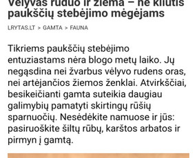 Įvairių tekstų, straipsnių, naujienlaiškių kūrimas - Straipsnių rašymas - 3 Straipsnių rašymas - Įvairių tekstų, straipsnių, naujienlaiškių kūrimas - 3