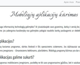 Tekstų interneto svetainėms kūrimas - Įvairių tekstų, straipsnių, naujienlaiškių kūrimas - 1