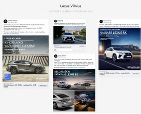 Reklamos paslaugos - Socialinių tinklų reklama - Meta, Tiktok, Google Ads - 4