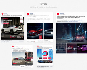 Reklamos paslaugos - Socialinių tinklų reklama - Meta, Tiktok, Google Ads - 1