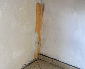 Visos valymo paslaugos,aplinkos priežiūra / MB Etvarka / Darbų pavyzdys ID 2878705