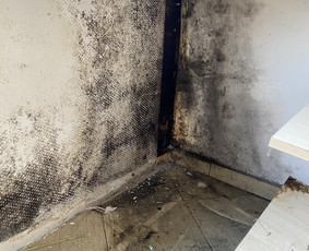 Visos valymo paslaugos,aplinkos priežiūra / MB Etvarka / Darbų pavyzdys ID 2878711