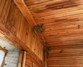 Visos valymo paslaugos,aplinkos priežiūra / MB Etvarka / Darbų pavyzdys ID 2878717