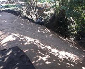 Šlaitų.pakrančių tvirtinimas-atraminės sinelės / GeoMax / Darbų pavyzdys ID 530597
