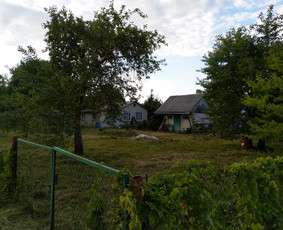 Žolės pjovimas trimeriu, vėjapjove, traktoriuku Vilniaus r. / Egidijus / Darbų pavyzdys ID 2879321