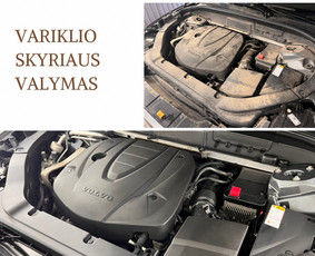 Cheminis valymas, poliravimas, keramika, ppf, paruošimas par / Restore Detailing / Darbų pavyzdys ID 2880683