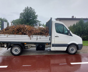 Žolės Pjovimas / Aplinkos Priežiūra / Mantas Ruginis / Darbų pavyzdys ID 2882591