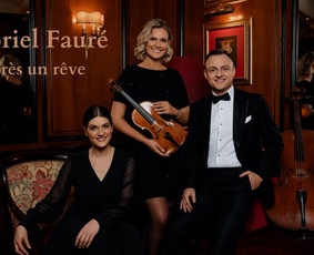 Muzikos mokytojai - Privačios Violončelės pamokos - 3