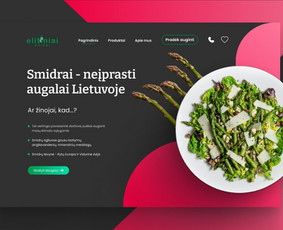 Svetainių dizainas (web design) - Ux&ui / Web dizainas / Produktų dizainas - 1