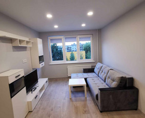 Vidaus apdailos darbai / MB "Gaudomera" / Darbų pavyzdys ID 2885879