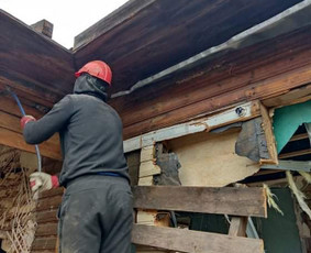 Statybos ir rekonstrukcijos darbai / Rasa / Darbų pavyzdys ID 2887153