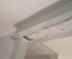 Statybos ir rekonstrukcijos darbai / Rasa / Darbų pavyzdys ID 2887217