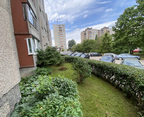 Žolės pjovimas / Aplinkos priežiūros darbai / Daimonas Ambrazas / Darbų pavyzdys ID 2887867