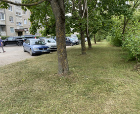Žolės pjovimas / Aplinkos priežiūros darbai / Daimonas Ambrazas / Darbų pavyzdys ID 2887869