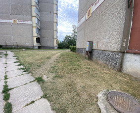Žolės pjovimas / Aplinkos priežiūros darbai / Daimonas Ambrazas / Darbų pavyzdys ID 2887871