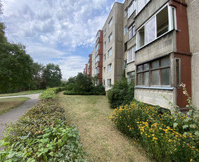 Žolės pjovimas / Aplinkos priežiūros darbai / Daimonas Ambrazas / Darbų pavyzdys ID 2887873