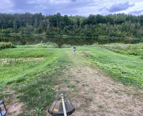 Žolės pjovimas / Aplinkos priežiūros darbai / Daimonas Ambrazas / Darbų pavyzdys ID 2887875