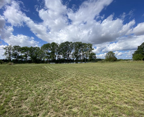 Žolės pjovimas / Aplinkos priežiūros darbai / Daimonas Ambrazas / Darbų pavyzdys ID 2887877