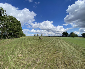 Žolės pjovimas / Aplinkos priežiūros darbai / Daimonas Ambrazas / Darbų pavyzdys ID 2887879