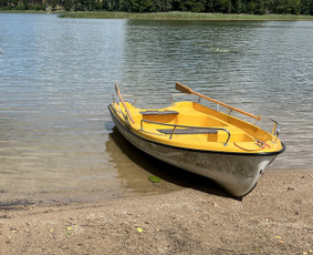 Sodybų nuoma ir pirties ritualai su pirtininku / Jūratė Martinkėnaitė / Darbų pavyzdys ID 2889275