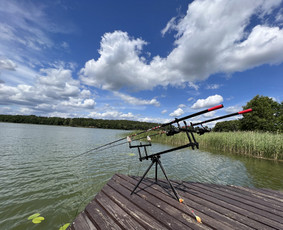 Sodybų nuoma ir pirties ritualai su pirtininku / Jūratė Martinkėnaitė / Darbų pavyzdys ID 2889279