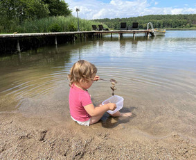 Sodybų nuoma ir pirties ritualai su pirtininku / Jūratė Martinkėnaitė / Darbų pavyzdys ID 2889301