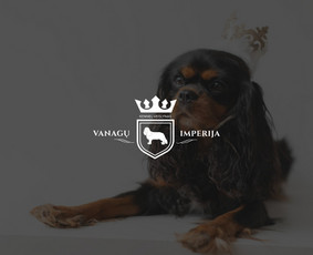 Logotipų kūrimas - Grafinis dizainas - Maketavimas / Ganna Pakhomova / Darbų pavyzdys ID 2890469