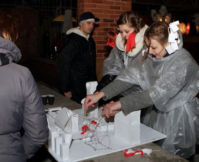 Renginių organizavimas / Kotryna Vilkinytė / Darbų pavyzdys ID 75064
