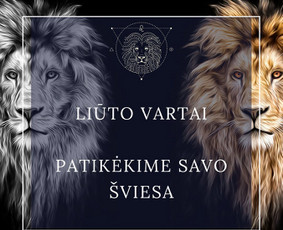 Meta/ Facebook, Google Ads, Reklama kuri atsiperka / Karolis Kazlauskas / BE FIRST Digital / Darbų pavyzdys ID 2891273