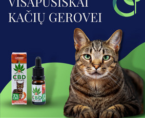 Meta/ Facebook, Google Ads, Reklama kuri atsiperka / Karolis Kazlauskas / BE FIRST Digital / Darbų pavyzdys ID 2891275
