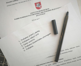 Mb, UAB buhalterė, dirbanti su elektroninėmis parduotuvėmis - Paslaugos verslui - 3 Paslaugos verslui - Mb, UAB buhalterė, dirbanti su elektroninėmis parduotuvėmis - 3