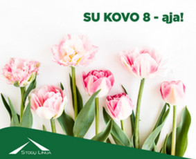 Socialinių tinklų administravimas - Komunikacija socialiniuose tinkluose - 2 Komunikacija socialiniuose tinkluose - Socialinių tinklų administravimas - 2