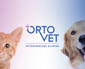 Socialinių tinklų administravimas - Facebook puslapio administravimas - 1 Facebook puslapio administravimas - Socialinių tinklų administravimas - 1