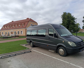 Keleivių pervežimas mikroautobusais su vairuotoju / TRANSFERSLTU / Darbų pavyzdys ID 2894057