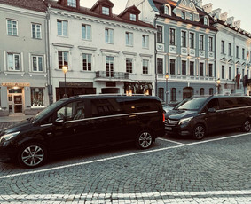 Keleivių pervežimas mikroautobusais su vairuotoju / TRANSFERSLTU / Darbų pavyzdys ID 2894061
